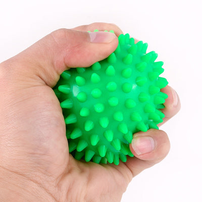 Portable Physiotherapy Ball Fitness