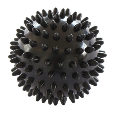 Portable Physiotherapy Ball Fitness