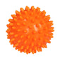Portable Physiotherapy Ball Fitness