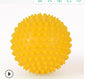 Portable Physiotherapy Ball Fitness